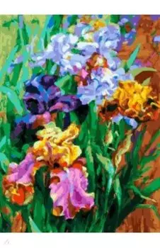 Живопись на холсте Ирисы садовые