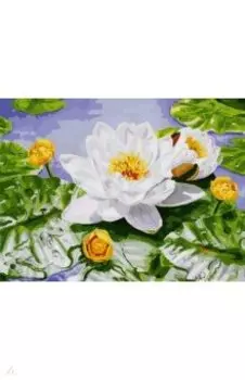 Живопись на холсте "Нимфея озерная", 30х40 см (062-AS)