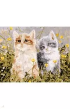 Живопись на холсте Славная парочка, 30х40 см