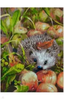 Живопись на картоне "Яблочный ёжик", 30х40 см (3140-CS)