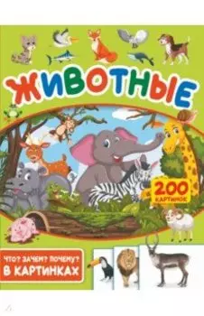 Животные. 200 картинок