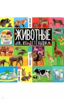 Животные и их детёныши