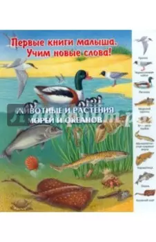 Животные и растения морей и океанов