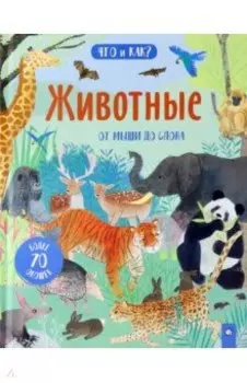 Животные. От мыши до слона