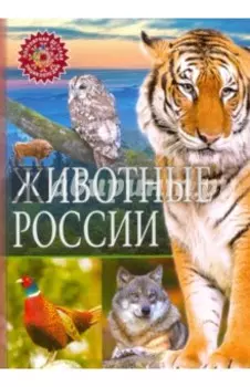 Животные России