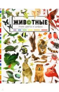Животные. Учим цвета и цифры