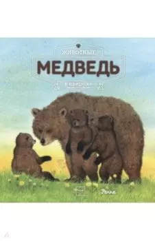 Животные в природе. Медведь