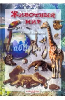 Животный мир нашей планеты