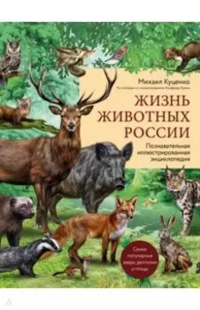 Жизнь животных России. Познавательная иллюстрированная энциклопедия