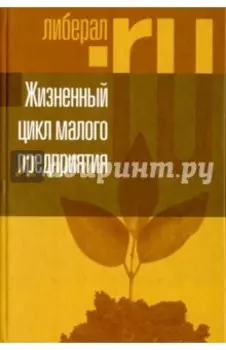 Жизненный цикл малого предприятия