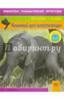 Жизненный цикл млекопитающих