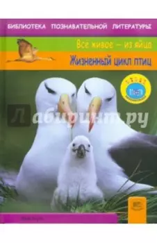 Жизненный цикл птиц