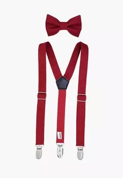 Бабочка и подтяжки Rainbowtie