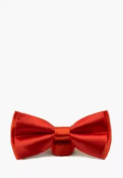 Бабочка Pierre Lauren