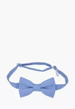 Бабочка Rainbowtie