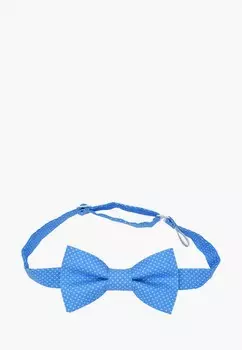 Бабочка Rainbowtie