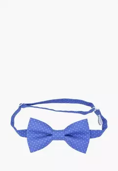 Бабочка Rainbowtie