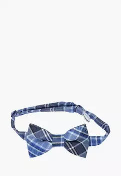 Бабочка Rainbowtie