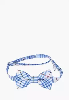 Бабочка Rainbowtie