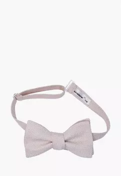 Бабочка Rainbowtie