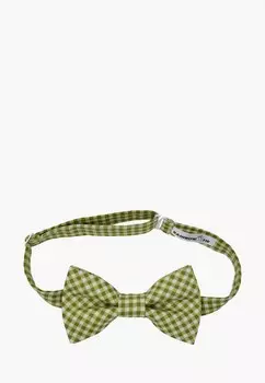 Бабочка Rainbowtie