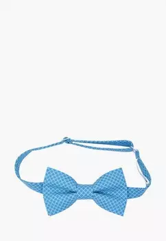 Бабочка Rainbowtie