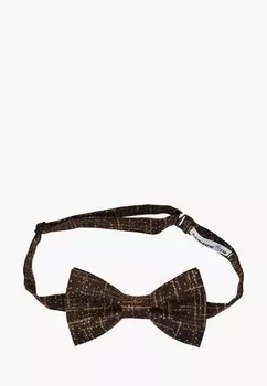 Бабочка Rainbowtie