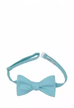 Бабочка Rainbowtie