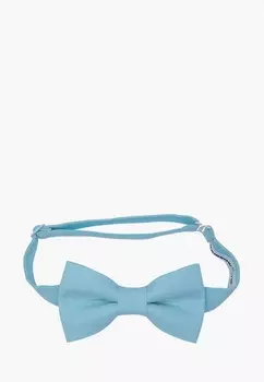 Бабочка Rainbowtie