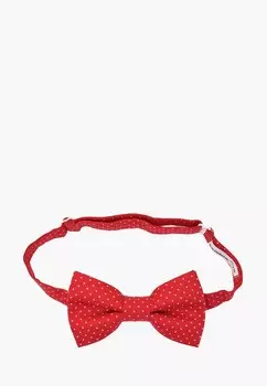 Бабочка Rainbowtie