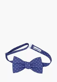 Бабочка Rainbowtie