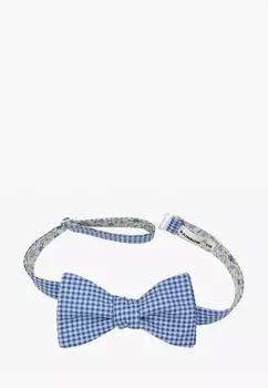 Бабочка Rainbowtie