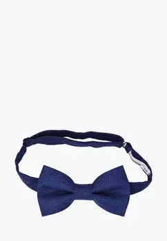 Бабочка Rainbowtie