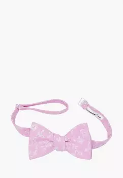 Бабочка Rainbowtie