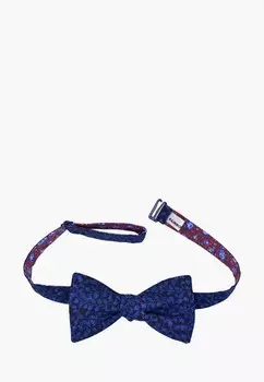 Бабочка Rainbowtie