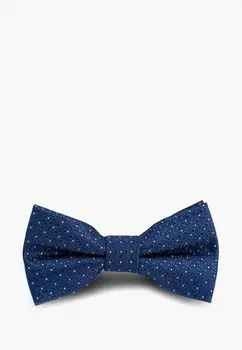 Бабочка Stenser