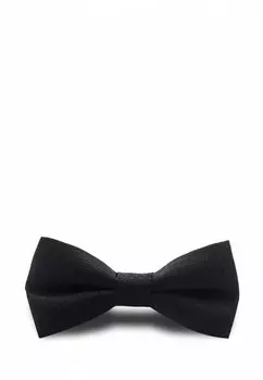 Бабочка Stenser