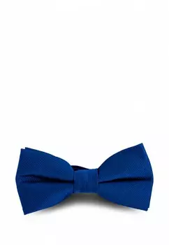 Бабочка Stenser