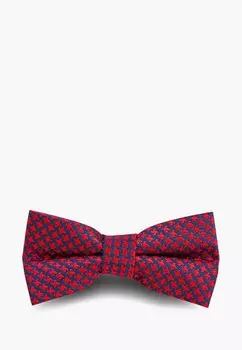 Бабочка Stenser