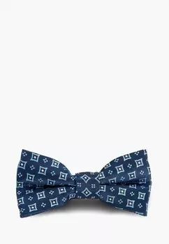 Бабочка Stenser