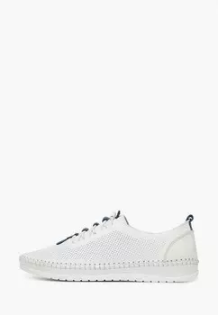 Ботинки Alessio Nesca