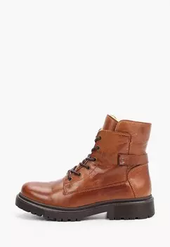 Ботинки Francesco Donni