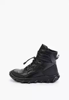 Ботинки Ralf Ringer