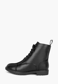 Ботинки T.Taccardi