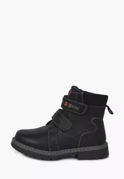 Ботинки T.Taccardi