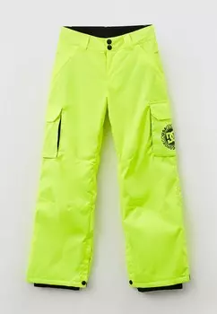Брюки сноубордические DC Shoes