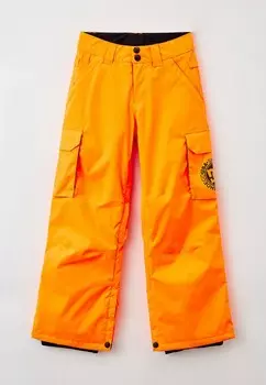 Брюки сноубордические DC Shoes