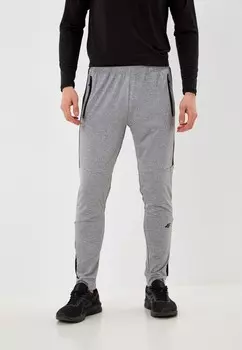 Брюки спортивные 4F