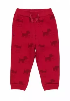 Брюки спортивные Artie