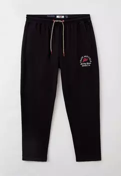 Брюки спортивные D555